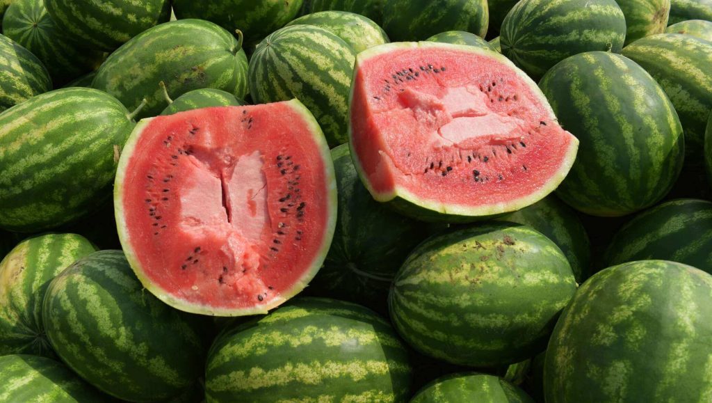 La sandía marroquí mantiene su presencia en los mercados europeos
